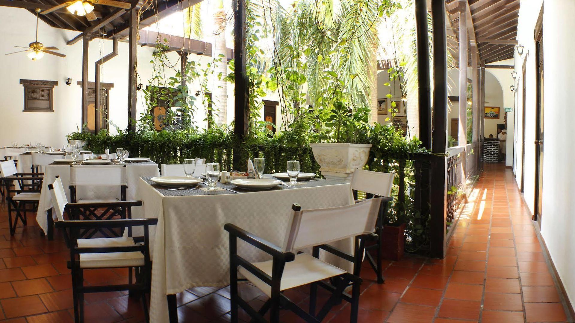 Centro By Dot Tradition