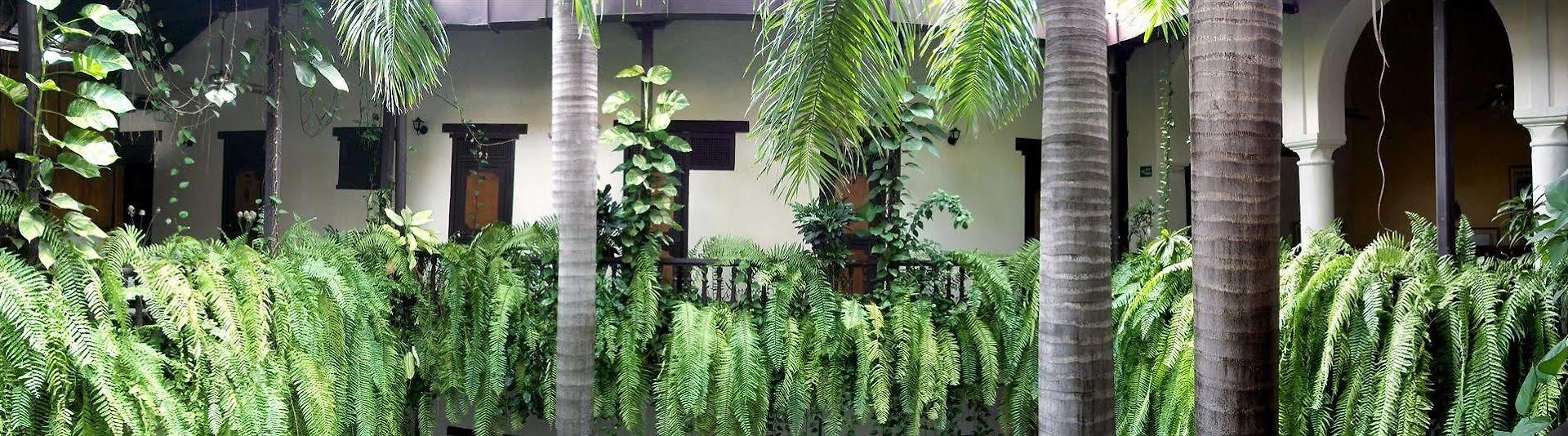Centro By Dot Tradition Cartagena