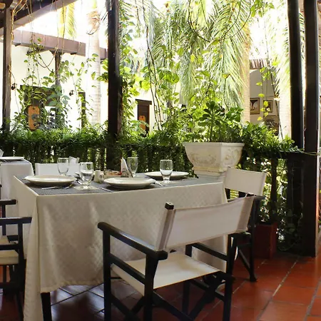 Centro By Dot Tradition