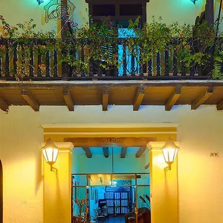 Centro By Dot Tradition