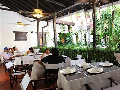 Centro By Dot Tradition