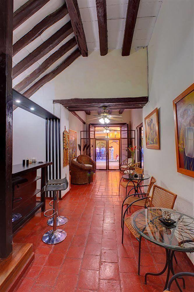 Centro By Dot Tradition